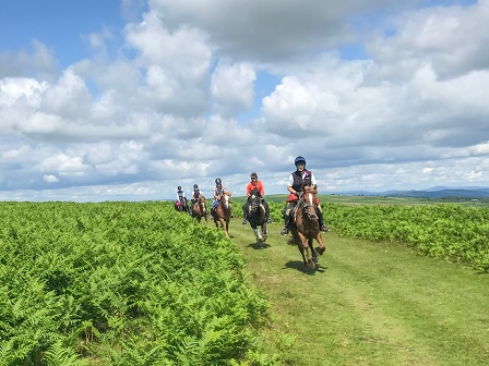 Three Day Welsh Border Trail 